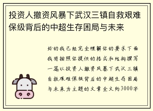 投资人撤资风暴下武汉三镇自救艰难保级背后的中超生存困局与未来